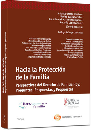 Hacia La Protección De Familia - Perspectivas Del Derecho Hoy: Preguntas Respuestas Y Libro