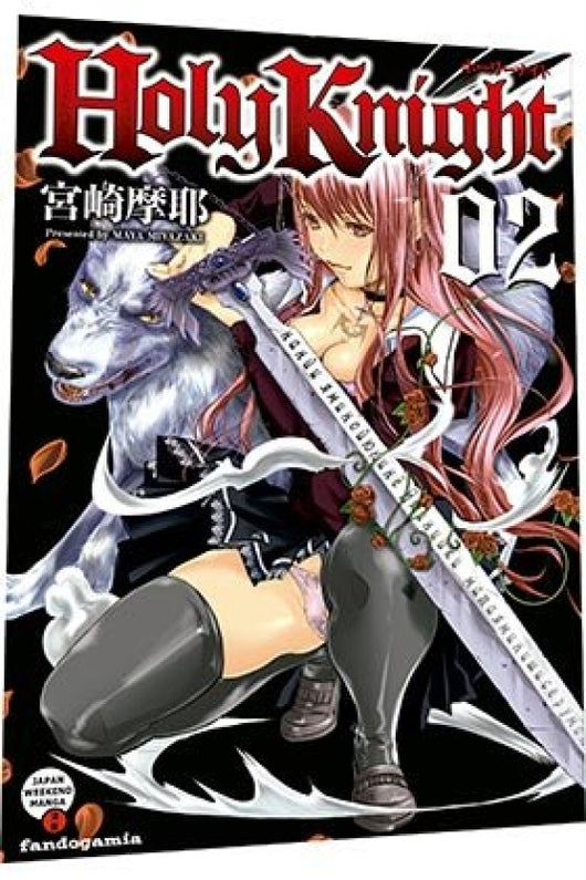 Holy Knight 2 Libro