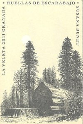 Huellas De Escarabajo. Libro