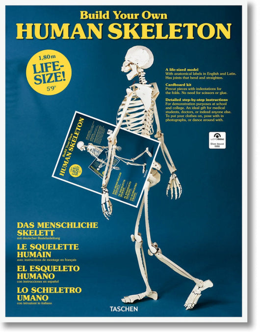 Human Skeleton Libro