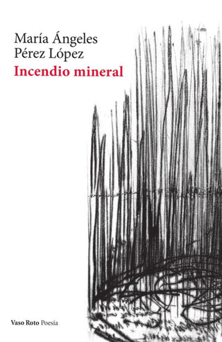 Incendio Mineral Libro