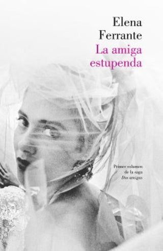 La Amiga Estupenda (Dos Amigas 1) Libro