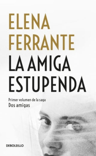 La Amiga Estupenda (Dos Amigas 1) Libro