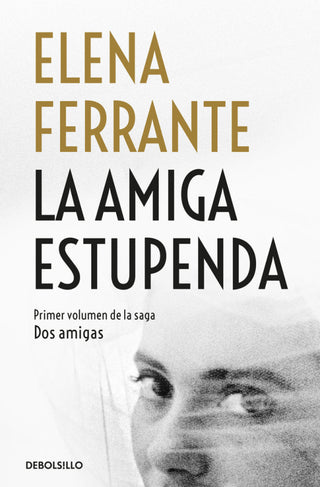La Amiga Estupenda (Dos Amigas 1) Libro