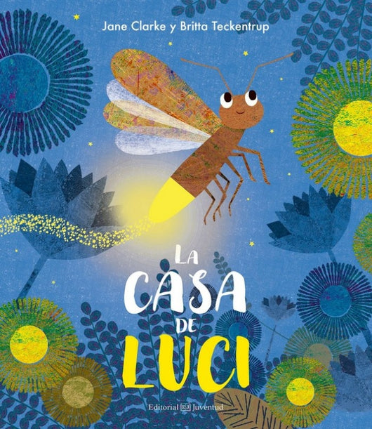 La Casa De Luci Libro