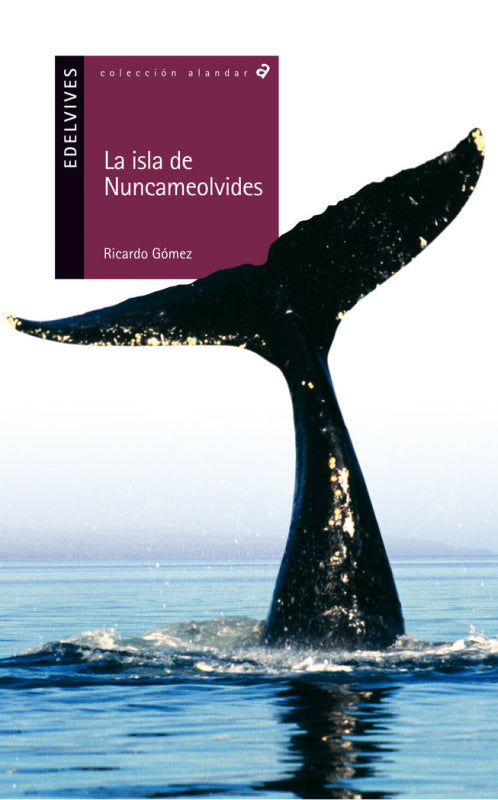 La Isla De Nuncameolvides Libro