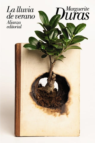 La Lluvia De Verano Libro
