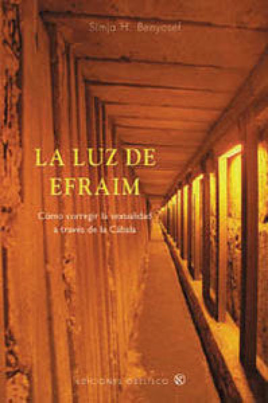 La Luz De Efraim Libro