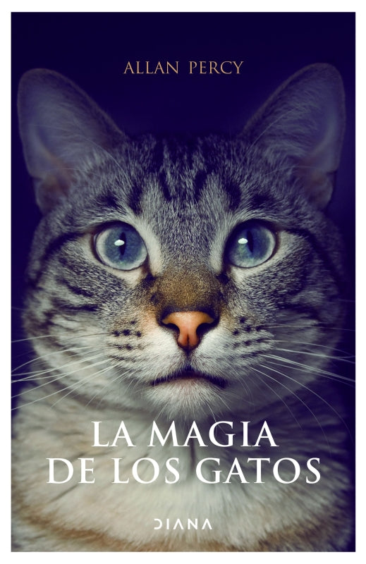 La Magia De Los Gatos Libro