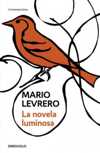 La Novela Luminosa Libro