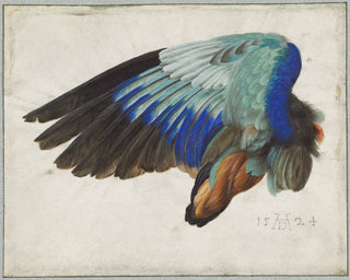 La Reina Del Aire Libro