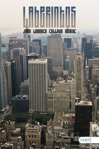 Laberintos Libro