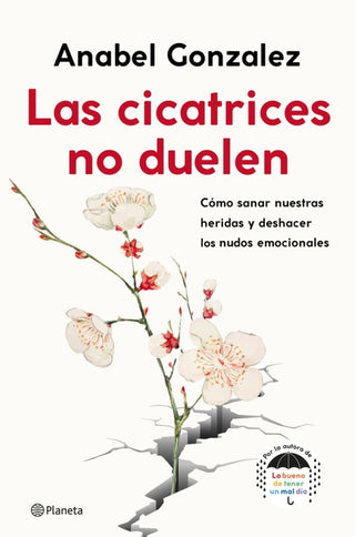 Las Cicatrices No Duelen Libro