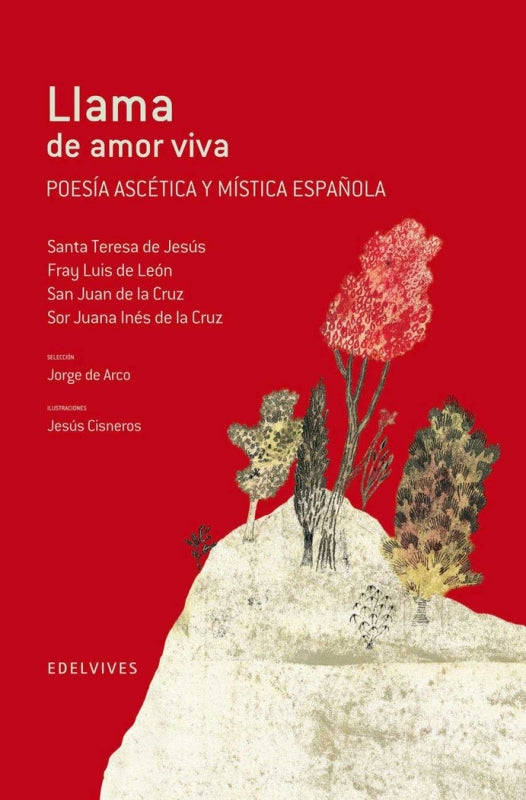 Llama De Amor Viva (Poesía Ascética Y Mística Española) Libro