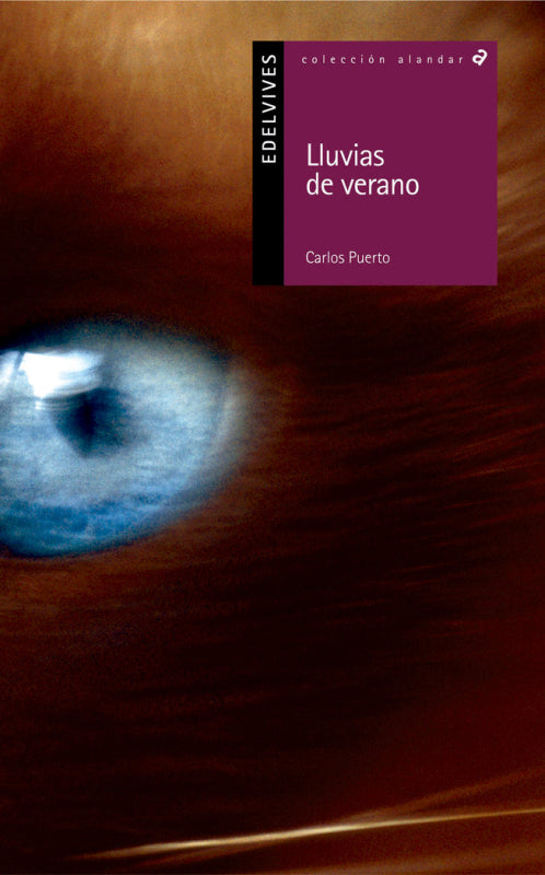 Lluvias De Verano Libro