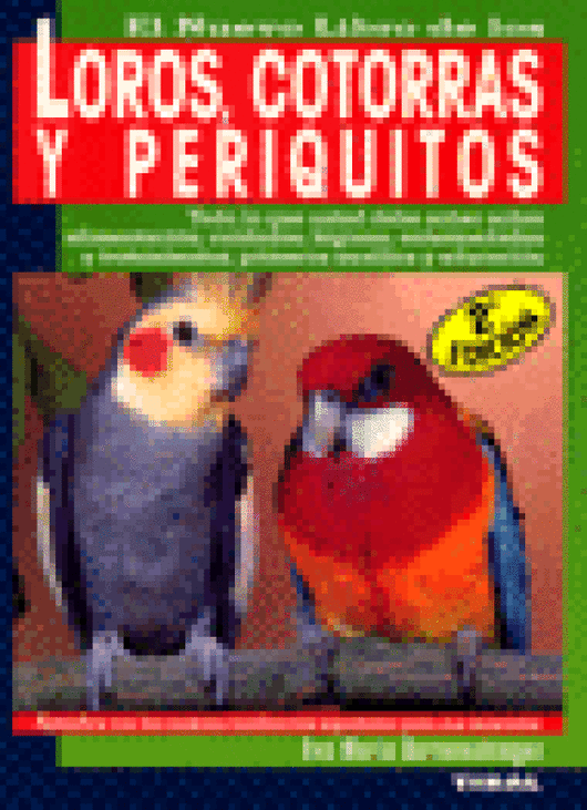 Loros Papagayos Y Periquitos Libro