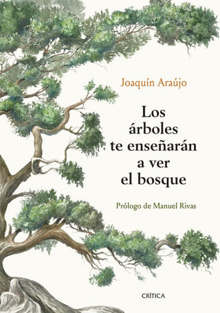 Los Árboles Te Enseñarán A Ver El Bosque Libro