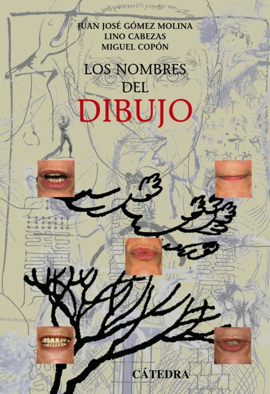 Los Nombres Del Dibujo Libro