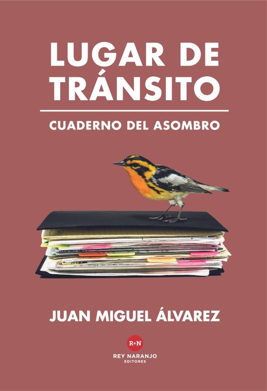 Lugar De Tránsito Libro