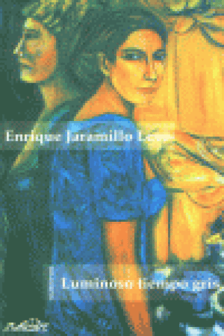 Luminoso Tiempo Gris Libro