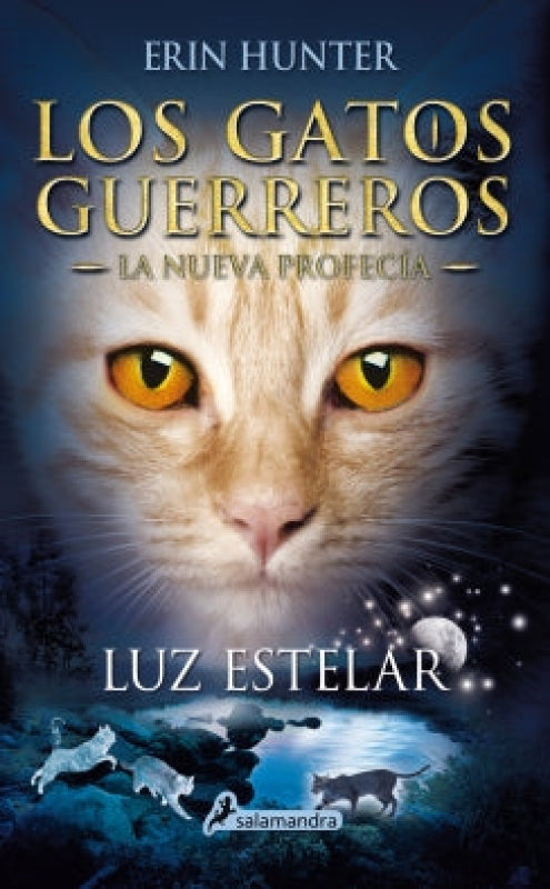 Luz Estelar 4 Libro