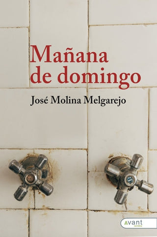 Mañana De Domingo Libro