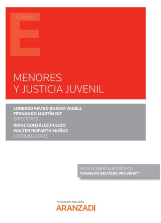 Menores Y Justicia Juvenil Libro