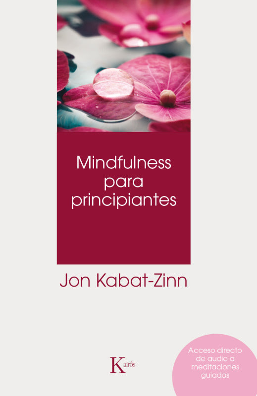 Mindfulness Para Principiantes Libro