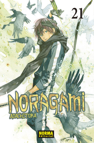 Noragami 21 Libro