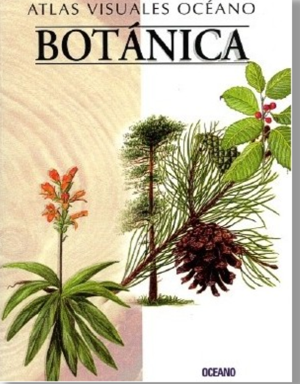 Atlas Visuales Océano. Botánica