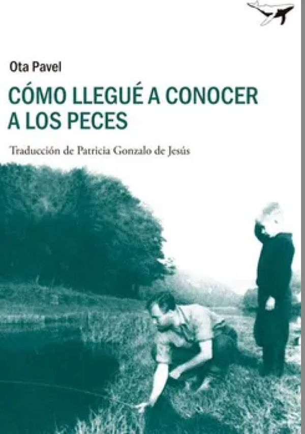 Cómo Llegué A Conocer A Los Peces