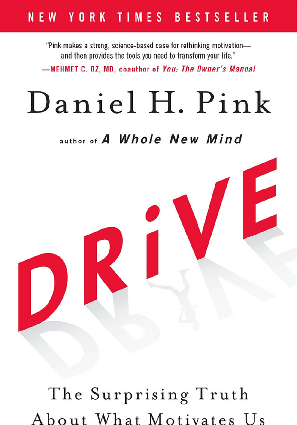 Drive: The Surprising Truth About What Motivates Us