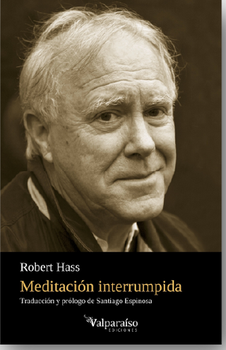 Meditación interrumpida