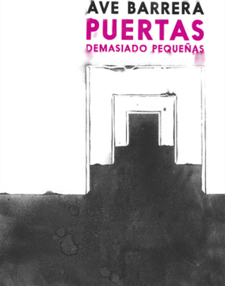 Puertas demasiado pequeñas