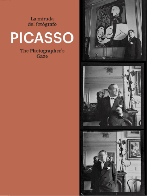 Picasso, La Mirada Del Fotógrafo