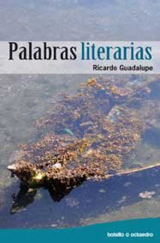 Palabras Literarias Libro