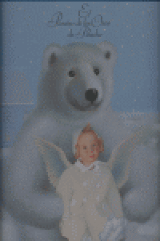 Paraiso De Los Osos Peluche El Libro