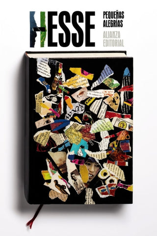 Pequeñas Alegrías Libro