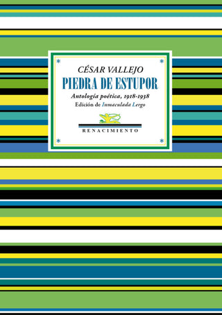 Piedra De Estupor Libro