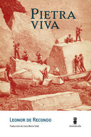 Pietra Viva Libro