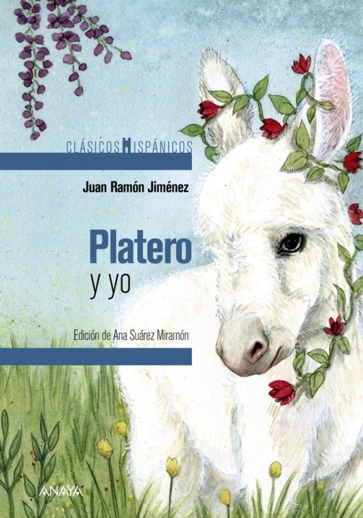 Platero Y Yo Libro