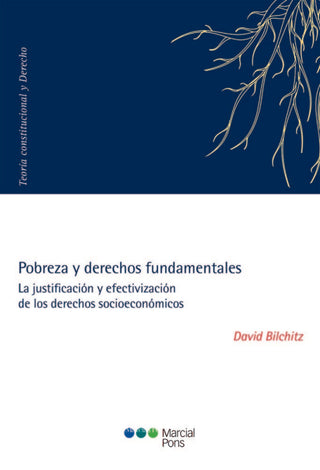 Pobreza Y Derechos Fundamentales Libro