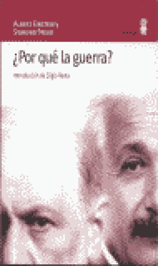 ¿por Qué La Guerra Libro
