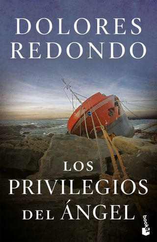 Los Privilegios Del Ángel Libro