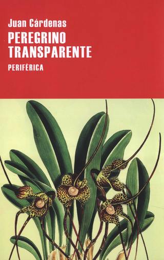 Peregrino Transparente