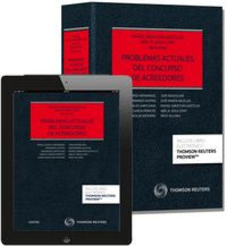Problemas Actuales Del Concurso De Acreedores (Papel + E-Book) Libro