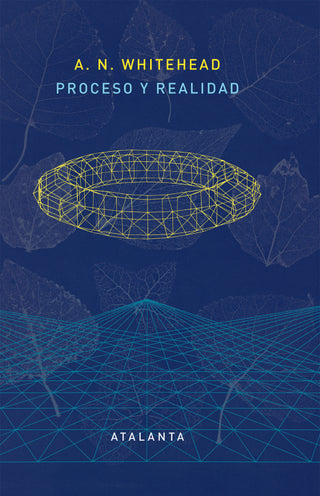 Proceso Y Realidad Libro