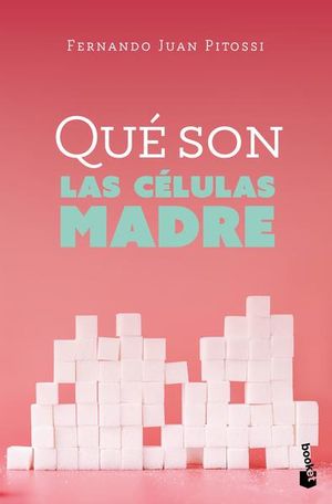 Qué Son Las Células Madre