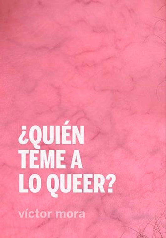 Quien Teme A Lo Queer Libro