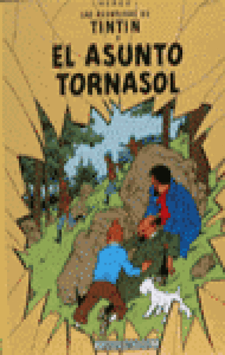 R- El Asunto Tornasol Libro